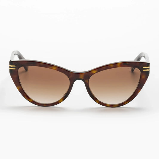 Occhiale da sole Bulgari BV40048I 52F Havana